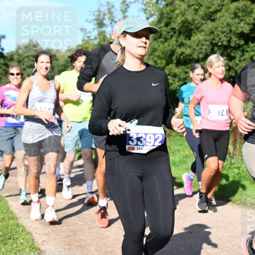 27.09.2026 - 35. Volkslauf durch das schöne Alstertal Dr. Thomas Lammeyer http://msf.ph/oto/10565020 27.09.2026 10:36:42 Laufen 13392, 3974, 2101 meine-sportfotos.de