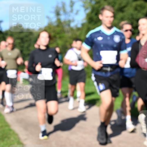 27.09.2026 - 35. Volkslauf durch das schöne Alstertal Dr. Thomas Lammeyer http://msf.ph/oto/10565042 27.09.2026 10:36:45 Laufen  meine-sportfotos.de
