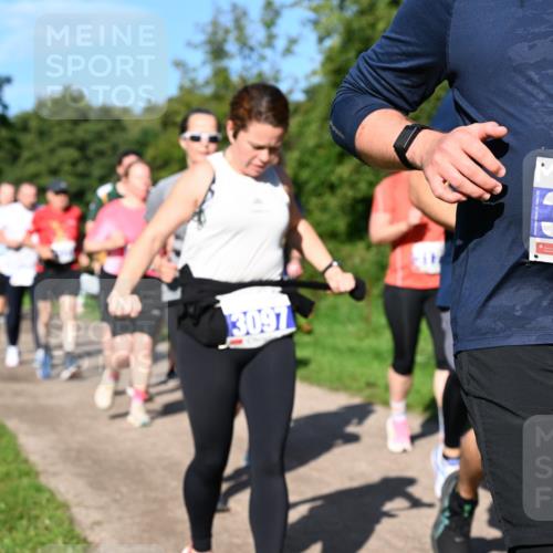 27.09.2026 - 35. Volkslauf durch das schöne Alstertal Dr. Thomas Lammeyer http://msf.ph/oto/10565124 27.09.2026 10:36:56 Laufen 3097, 3123 meine-sportfotos.de