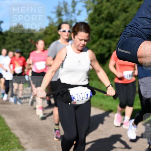 27.09.2026 - 35. Volkslauf durch das schöne Alstertal Dr. Thomas Lammeyer http://msf.ph/oto/10565125 27.09.2026 10:36:57 Laufen 3097 meine-sportfotos.de