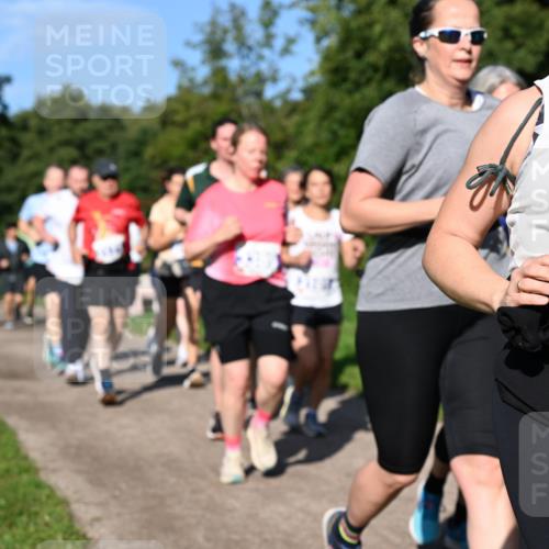 27.09.2026 - 35. Volkslauf durch das schöne Alstertal Dr. Thomas Lammeyer http://msf.ph/oto/10565132 27.09.2026 10:36:57 Laufen 309 meine-sportfotos.de