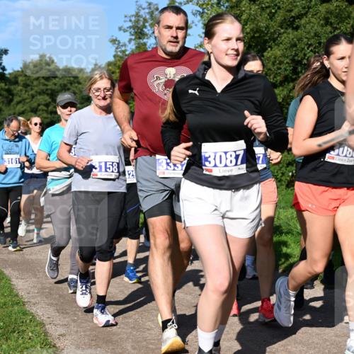 27.09.2026 - 35. Volkslauf durch das schöne Alstertal Dr. Thomas Lammeyer http://msf.ph/oto/10565239 27.09.2026 10:37:10 Laufen 334, 3161, 3158, 129, 3337, 3087, 7 meine-sportfotos.de