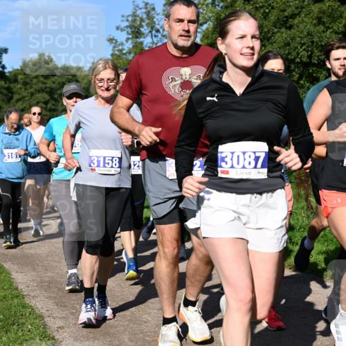 27.09.2026 - 35. Volkslauf durch das schöne Alstertal Dr. Thomas Lammeyer http://msf.ph/oto/10565240 27.09.2026 10:37:10 Laufen 3088, 3161, 3158, 129, 23087 meine-sportfotos.de