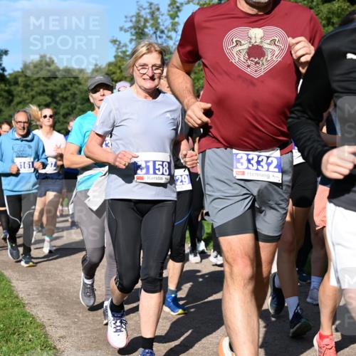 27.09.2026 - 35. Volkslauf durch das schöne Alstertal Dr. Thomas Lammeyer http://msf.ph/oto/10565245 27.09.2026 10:37:11 Laufen 158, 29, 3332, 3087, 161, 37 meine-sportfotos.de