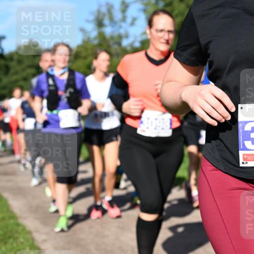 27.09.2026 - 35. Volkslauf durch das schöne Alstertal Dr. Thomas Lammeyer http://msf.ph/oto/10565284 27.09.2026 10:37:15 Laufen 13334 meine-sportfotos.de