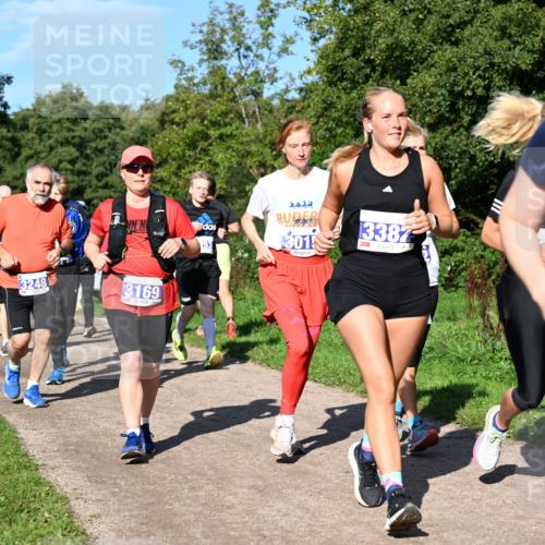 27.09.2026 - 35. Volkslauf durch das schöne Alstertal Dr. Thomas Lammeyer http://msf.ph/oto/10565317 27.09.2026 10:37:18 Laufen 3248, 3169, 301, 13382, 995 meine-sportfotos.de