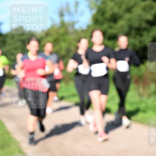 27.09.2026 - 35. Volkslauf durch das schöne Alstertal Dr. Thomas Lammeyer http://msf.ph/oto/10565394 27.09.2026 10:37:27 Laufen  meine-sportfotos.de