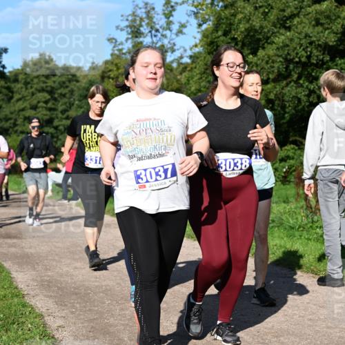 27.09.2026 - 35. Volkslauf durch das schöne Alstertal Dr. Thomas Lammeyer http://msf.ph/oto/10565586 27.09.2026 10:37:48 Laufen 331, 3037, 3038 meine-sportfotos.de