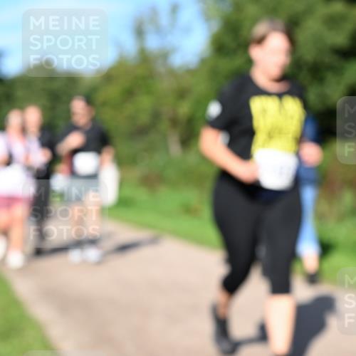 27.09.2026 - 35. Volkslauf durch das schöne Alstertal Dr. Thomas Lammeyer http://msf.ph/oto/10565605 27.09.2026 10:37:50 Laufen  meine-sportfotos.de