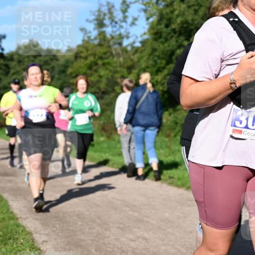 27.09.2026 - 35. Volkslauf durch das schöne Alstertal Dr. Thomas Lammeyer http://msf.ph/oto/10565639 27.09.2026 10:37:54 Laufen 3084 meine-sportfotos.de