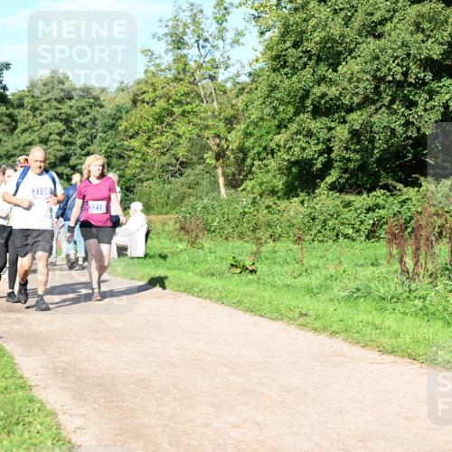 27.09.2026 - 35. Volkslauf durch das schöne Alstertal Dr. Thomas Lammeyer http://msf.ph/oto/10565718 27.09.2026 10:38:07 Laufen 3108, 3218 meine-sportfotos.de