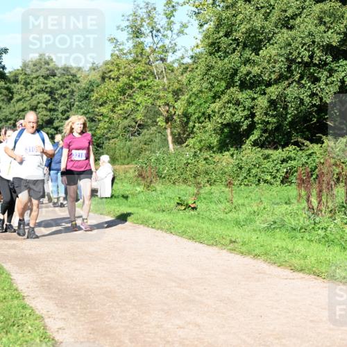 27.09.2026 - 35. Volkslauf durch das schöne Alstertal Dr. Thomas Lammeyer http://msf.ph/oto/10565719 27.09.2026 10:38:07 Laufen 074, 3103, 3218 meine-sportfotos.de