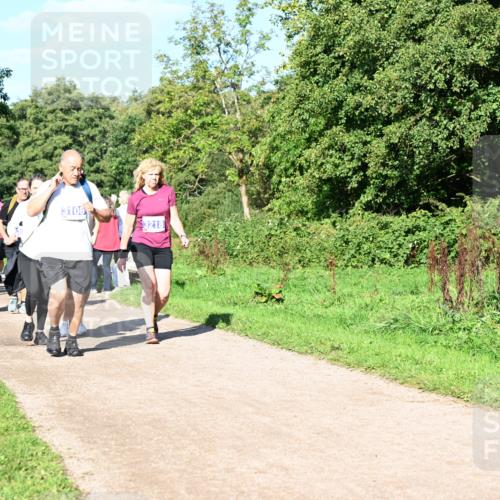 27.09.2026 - 35. Volkslauf durch das schöne Alstertal Dr. Thomas Lammeyer http://msf.ph/oto/10565726 27.09.2026 10:38:07 Laufen 3108, 3218 meine-sportfotos.de