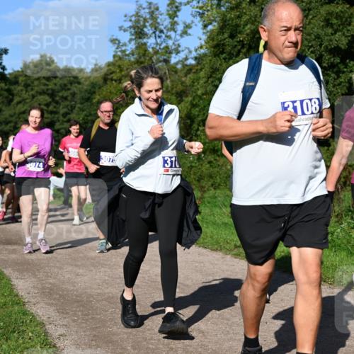 27.09.2026 - 35. Volkslauf durch das schöne Alstertal Dr. Thomas Lammeyer http://msf.ph/oto/10565760 27.09.2026 10:38:11 Laufen 074, 31, 3108, 3218 meine-sportfotos.de