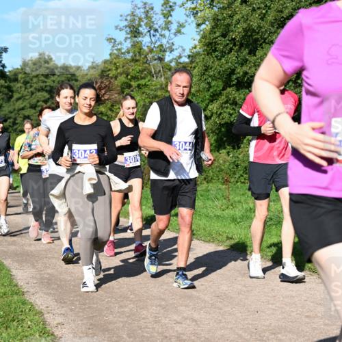 27.09.2026 - 35. Volkslauf durch das schöne Alstertal Dr. Thomas Lammeyer http://msf.ph/oto/10565799 27.09.2026 10:38:15 Laufen 3042, 3044, 3073, 3076, 3074 meine-sportfotos.de