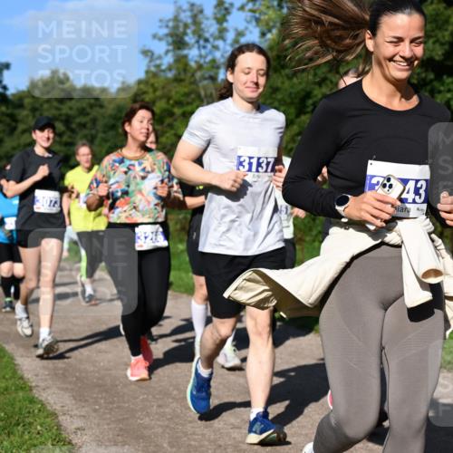 27.09.2026 - 35. Volkslauf durch das schöne Alstertal Dr. Thomas Lammeyer http://msf.ph/oto/10565818 27.09.2026 10:38:17 Laufen 3073, 3137, 43 meine-sportfotos.de