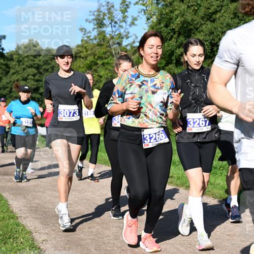 27.09.2026 - 35. Volkslauf durch das schöne Alstertal Dr. Thomas Lammeyer http://msf.ph/oto/10565828 27.09.2026 10:38:18 Laufen 191, 3073, 189, 10, 3266, 3267, 3137 meine-sportfotos.de