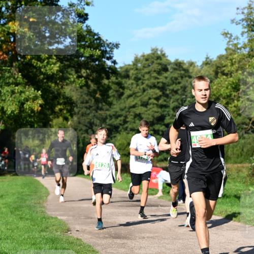 27.09.2026 - 35. Volkslauf durch das schöne Alstertal Dr. Thomas Lammeyer http://msf.ph/oto/10565974 27.09.2026 10:38:55 Laufen 19215 meine-sportfotos.de