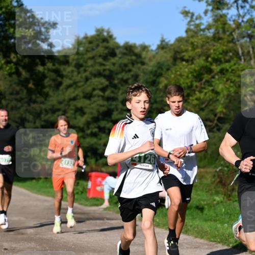 27.09.2026 - 35. Volkslauf durch das schöne Alstertal Dr. Thomas Lammeyer http://msf.ph/oto/10565986 27.09.2026 10:38:56 Laufen 4126 meine-sportfotos.de
