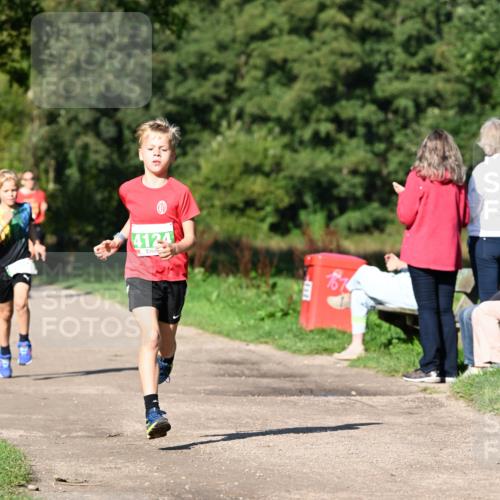 27.09.2026 - 35. Volkslauf durch das schöne Alstertal Dr. Thomas Lammeyer http://msf.ph/oto/10566020 27.09.2026 10:39:03 Laufen 4124 meine-sportfotos.de