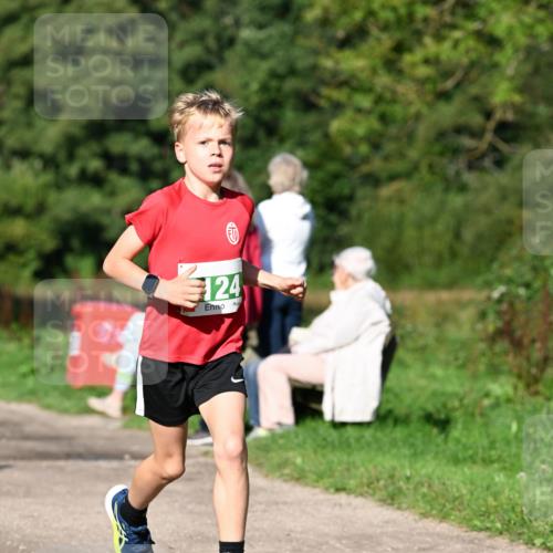27.09.2026 - 35. Volkslauf durch das schöne Alstertal Dr. Thomas Lammeyer http://msf.ph/oto/10566034 27.09.2026 10:39:05 Laufen 124 meine-sportfotos.de