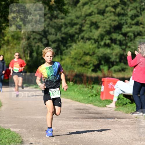 27.09.2026 - 35. Volkslauf durch das schöne Alstertal Dr. Thomas Lammeyer http://msf.ph/oto/10566036 27.09.2026 10:39:06 Laufen 4082 meine-sportfotos.de