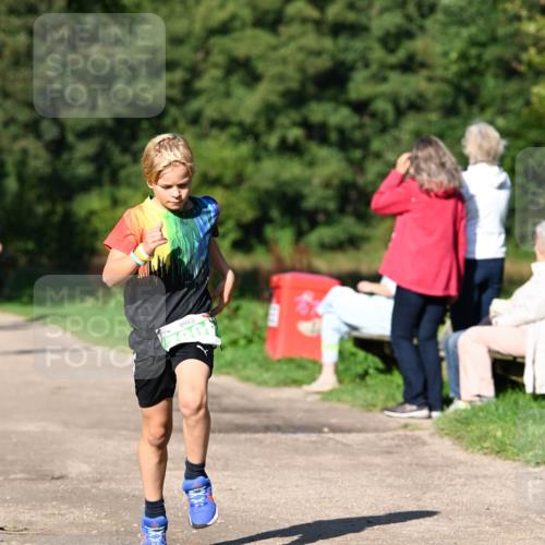 27.09.2026 - 35. Volkslauf durch das schöne Alstertal Dr. Thomas Lammeyer http://msf.ph/oto/10566043 27.09.2026 10:39:07 Laufen  meine-sportfotos.de