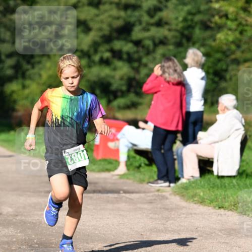 27.09.2026 - 35. Volkslauf durch das schöne Alstertal Dr. Thomas Lammeyer http://msf.ph/oto/10566045 27.09.2026 10:39:07 Laufen 082 meine-sportfotos.de