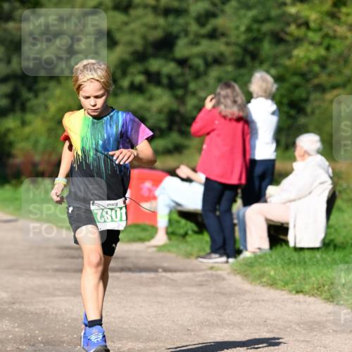 27.09.2026 - 35. Volkslauf durch das schöne Alstertal Dr. Thomas Lammeyer http://msf.ph/oto/10566047 27.09.2026 10:39:07 Laufen  meine-sportfotos.de