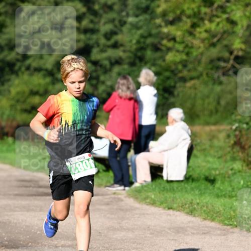 27.09.2026 - 35. Volkslauf durch das schöne Alstertal Dr. Thomas Lammeyer http://msf.ph/oto/10566050 27.09.2026 10:39:07 Laufen 4082 meine-sportfotos.de