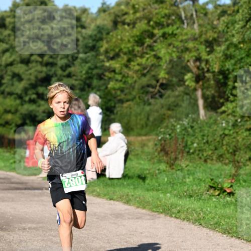 27.09.2026 - 35. Volkslauf durch das schöne Alstertal Dr. Thomas Lammeyer http://msf.ph/oto/10566054 27.09.2026 10:39:08 Laufen 4082 meine-sportfotos.de