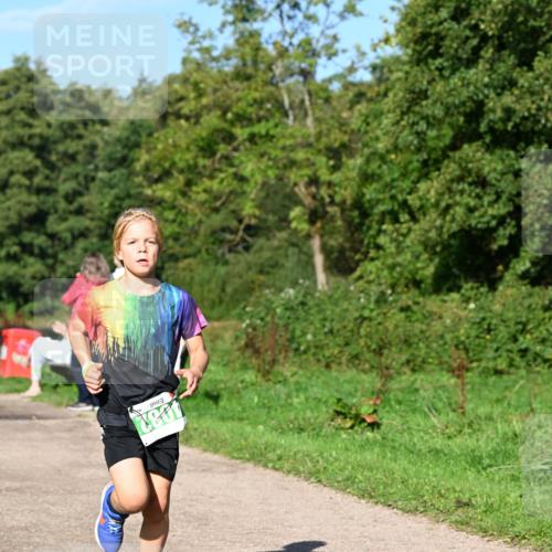 27.09.2026 - 35. Volkslauf durch das schöne Alstertal Dr. Thomas Lammeyer http://msf.ph/oto/10566058 27.09.2026 10:39:08 Laufen  meine-sportfotos.de