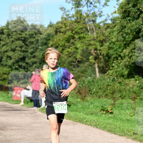 27.09.2026 - 35. Volkslauf durch das schöne Alstertal Dr. Thomas Lammeyer http://msf.ph/oto/10566059 27.09.2026 10:39:08 Laufen 4082 meine-sportfotos.de