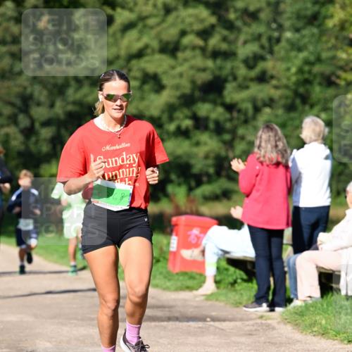 27.09.2026 - 35. Volkslauf durch das schöne Alstertal Dr. Thomas Lammeyer http://msf.ph/oto/10566075 27.09.2026 10:39:13 Laufen  meine-sportfotos.de