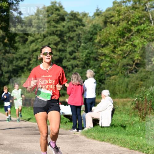 27.09.2026 - 35. Volkslauf durch das schöne Alstertal Dr. Thomas Lammeyer http://msf.ph/oto/10566081 27.09.2026 10:39:13 Laufen 368 meine-sportfotos.de