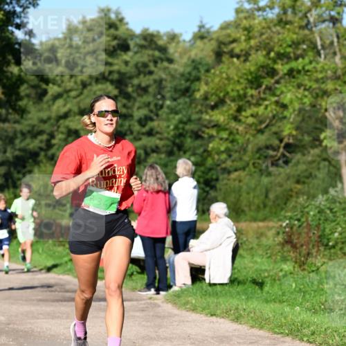 27.09.2026 - 35. Volkslauf durch das schöne Alstertal Dr. Thomas Lammeyer http://msf.ph/oto/10566082 27.09.2026 10:39:14 Laufen 20, 336 meine-sportfotos.de