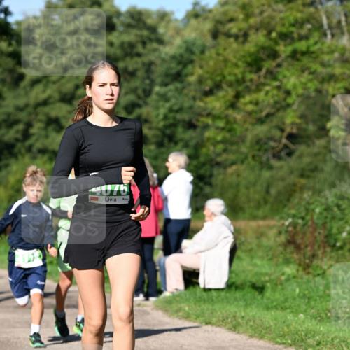 27.09.2026 - 35. Volkslauf durch das schöne Alstertal Dr. Thomas Lammeyer http://msf.ph/oto/10566114 27.09.2026 10:39:18 Laufen  meine-sportfotos.de