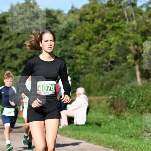 27.09.2026 - 35. Volkslauf durch das schöne Alstertal Dr. Thomas Lammeyer http://msf.ph/oto/10566116 27.09.2026 10:39:18 Laufen 4076 meine-sportfotos.de