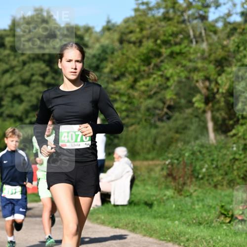 27.09.2026 - 35. Volkslauf durch das schöne Alstertal Dr. Thomas Lammeyer http://msf.ph/oto/10566118 27.09.2026 10:39:19 Laufen 4070 meine-sportfotos.de