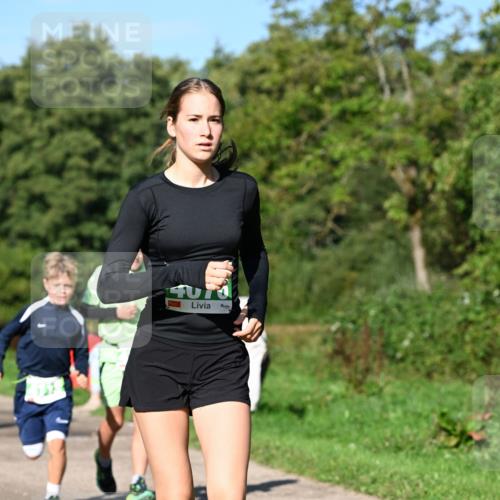 27.09.2026 - 35. Volkslauf durch das schöne Alstertal Dr. Thomas Lammeyer http://msf.ph/oto/10566120 27.09.2026 10:39:19 Laufen  meine-sportfotos.de
