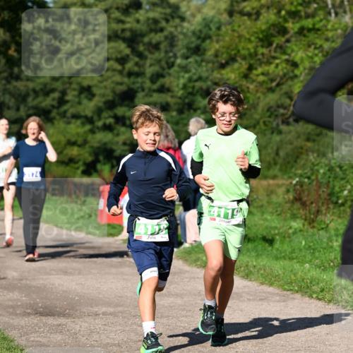 27.09.2026 - 35. Volkslauf durch das schöne Alstertal Dr. Thomas Lammeyer http://msf.ph/oto/10566125 27.09.2026 10:39:20 Laufen 4112, 4119 meine-sportfotos.de