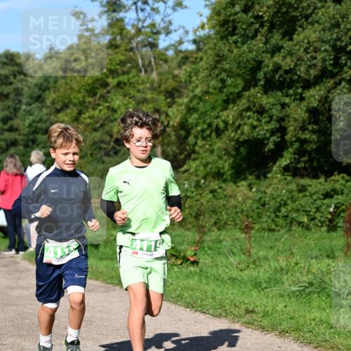27.09.2026 - 35. Volkslauf durch das schöne Alstertal Dr. Thomas Lammeyer http://msf.ph/oto/10566130 27.09.2026 10:39:21 Laufen 4119 meine-sportfotos.de