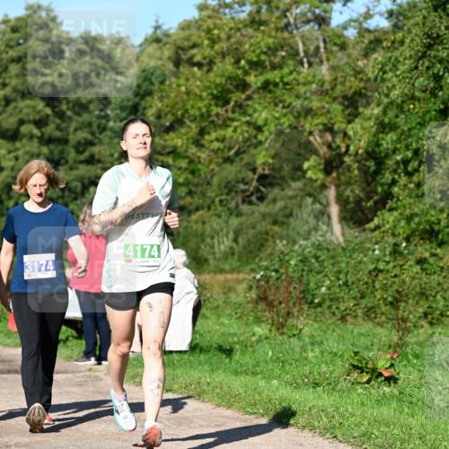 27.09.2026 - 35. Volkslauf durch das schöne Alstertal Dr. Thomas Lammeyer http://msf.ph/oto/10566145 27.09.2026 10:39:24 Laufen 3174, 4174 meine-sportfotos.de