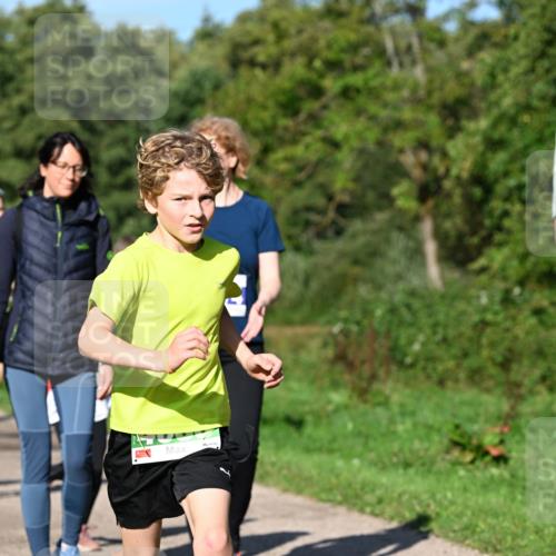 27.09.2026 - 35. Volkslauf durch das schöne Alstertal Dr. Thomas Lammeyer http://msf.ph/oto/10566158 27.09.2026 10:39:26 Laufen  meine-sportfotos.de