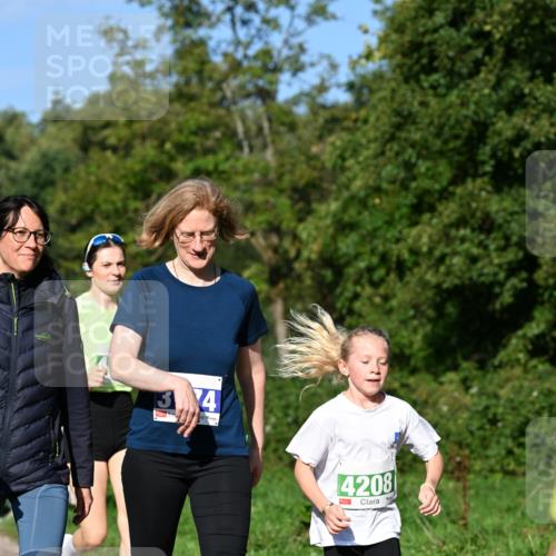 27.09.2026 - 35. Volkslauf durch das schöne Alstertal Dr. Thomas Lammeyer http://msf.ph/oto/10566165 27.09.2026 10:39:27 Laufen 4, 4208 meine-sportfotos.de