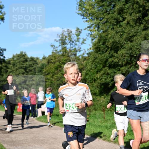 27.09.2026 - 35. Volkslauf durch das schöne Alstertal Dr. Thomas Lammeyer http://msf.ph/oto/10566190 27.09.2026 10:39:31 Laufen 426, 406, 4957 meine-sportfotos.de