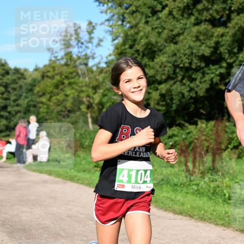 27.09.2026 - 35. Volkslauf durch das schöne Alstertal Dr. Thomas Lammeyer http://msf.ph/oto/10566229 27.09.2026 10:39:38 Laufen 4104 meine-sportfotos.de