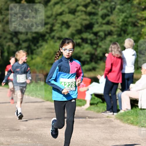27.09.2026 - 35. Volkslauf durch das schöne Alstertal Dr. Thomas Lammeyer http://msf.ph/oto/10566231 27.09.2026 10:39:41 Laufen 4228 meine-sportfotos.de