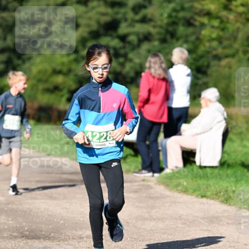 27.09.2026 - 35. Volkslauf durch das schöne Alstertal Dr. Thomas Lammeyer http://msf.ph/oto/10566234 27.09.2026 10:39:41 Laufen 228 meine-sportfotos.de