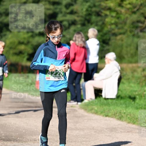 27.09.2026 - 35. Volkslauf durch das schöne Alstertal Dr. Thomas Lammeyer http://msf.ph/oto/10566236 27.09.2026 10:39:41 Laufen 4228 meine-sportfotos.de